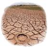 Juntos podremos con el cambio climático
