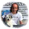 Necesitamos 50.000 firmas para salvar a las mascotas madrileñas abandonadas