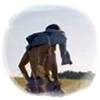 The kings of summer