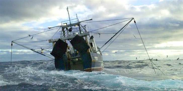 La pesca de arrastre desertifica el fondo marino