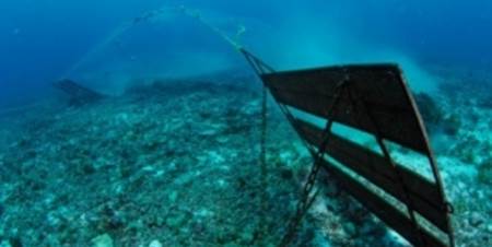 La pesca de arrastre desertifica el fondo marino