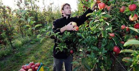 El excedente del veto ruso se podría utilizar para Bancos de Alimentos