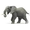 El elefante africano se extinguirá en 11 años