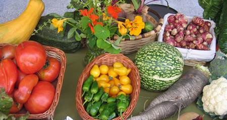 Los españoles queremos huertos urbanos