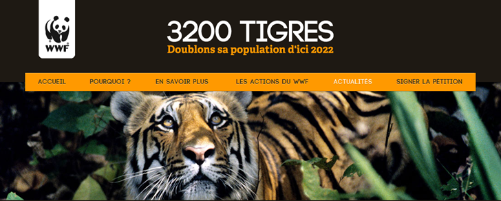 WWF alerta de la extinción silenciosa del tigre