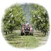 Los agricultores temen perdidas millonarias por el bloqueo ruso
