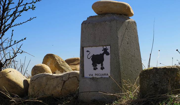 Ecologistas en Acción consideran inconstitucional la Ley de Vías Pecuarias