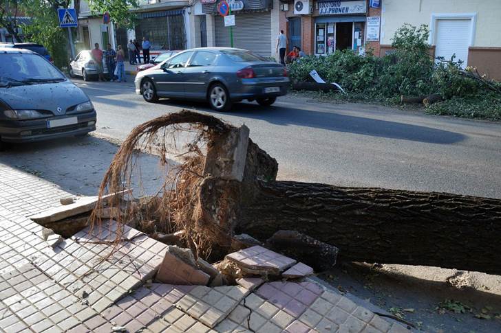 ¿Puede prevenirse?