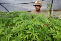 Nuevos cultivos, nuevos agricultores