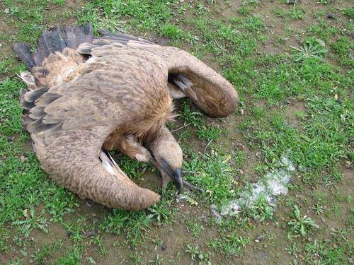 Medicalizar el medioambiente tiene un coste