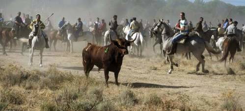 El PSOE y el maltrato animal