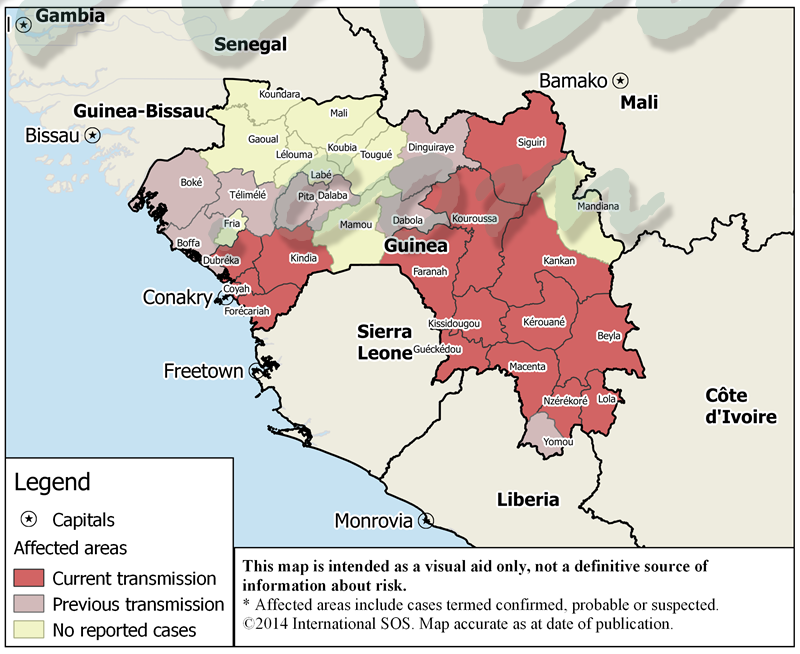 600 nuevos casos de ébola en Guinea, Liberia y Sierra Leona