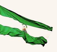 En califato de Andalucía