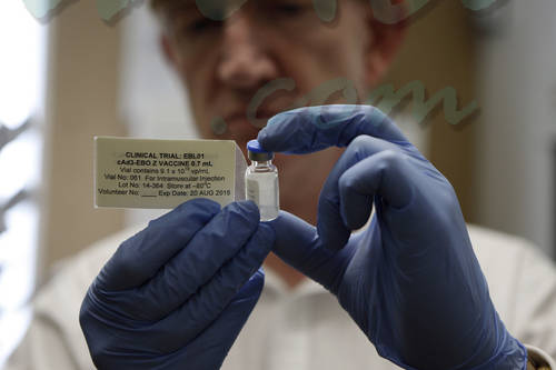 Una vacuna del ébola pasa a la fase de estudio clinico con humanos