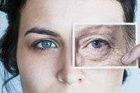 Los hallazgos del 2014