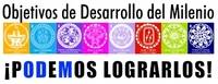 Los Objetivos de Desarrollo del Milenio a examen