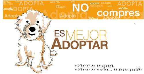 No compres mascotas por Reyes