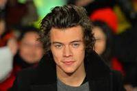 ¿Quiere Harry Styles dar el salto a la gran pantalla ?