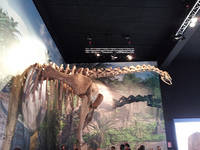 Una vuelta al jurásico