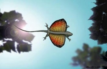 Curiosidades De La Naturaleza: Draco volans