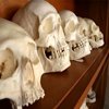 Hombres y mujeres, ¿cada vez más parecidos?