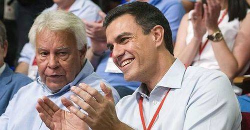Sólo Pedro Sanchez recoge los avales necesarios