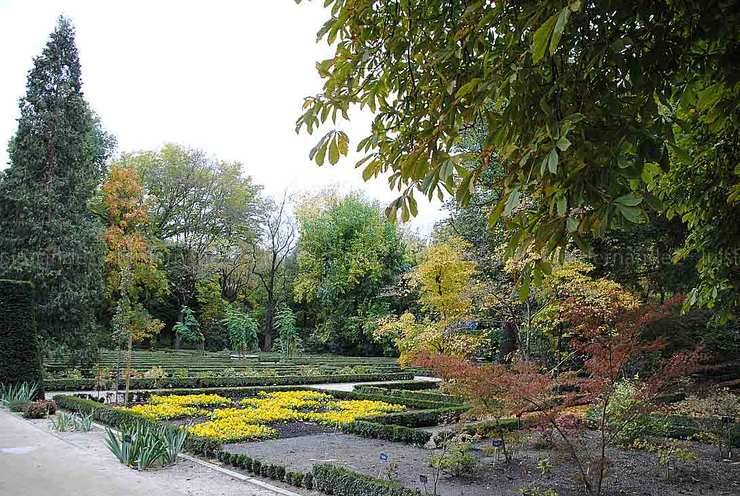 Un verano entre jardines y árboles