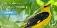 Un respeto a nuestra naturaleza
