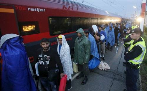 Un responsable técnico que tramite los expedientes de los refugiados