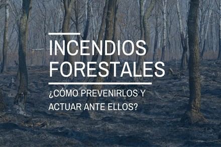Consejos para prevenir y actuar ante incendios forestales en verano