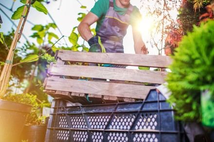 El plazo para solicitar la regularización de migrantes en España comenzará en dos meses