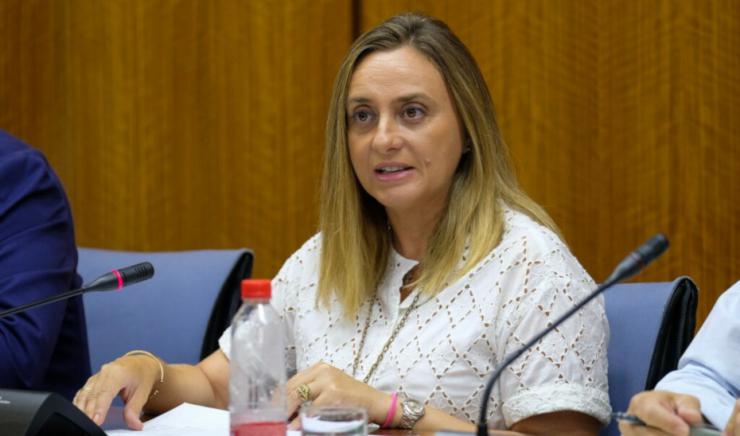 El Gobierno andaluz elabora un catálogo 'exhaustivo' del patrimonio de suelos de AVRA