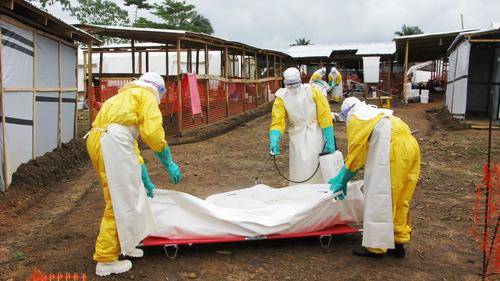 La OMS declara Sierra Leona libre de ébola