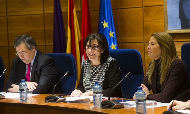 Pozuelo elaborará un estudio pormenorizado de los pasos de cebra para mejorar la seguridad vial