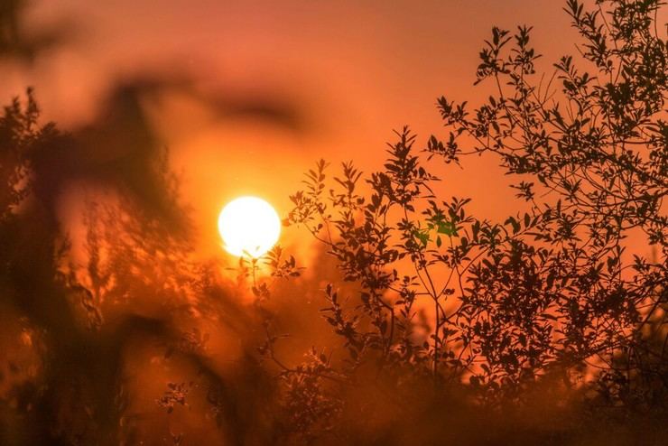 2024: Altas temperaturas y riadas marcan el clima en España