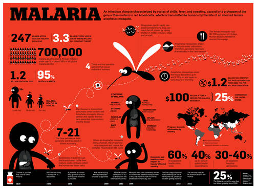 La malaria es mucho más peligrosa que el zika, el ébola y la tuberculosis