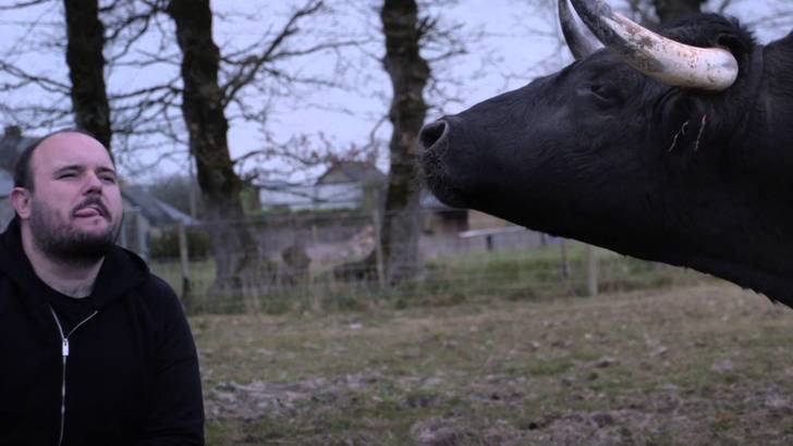 Otras tauromaquias de Capital Animal