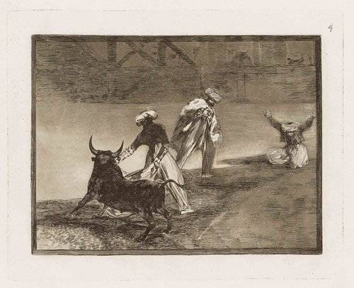 Otras tauromaquias de Capital Animal