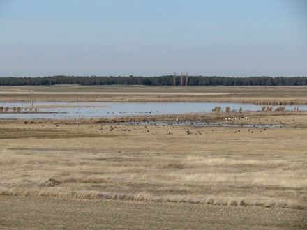 Necesaria expansión de la Red Natura 2000 en España