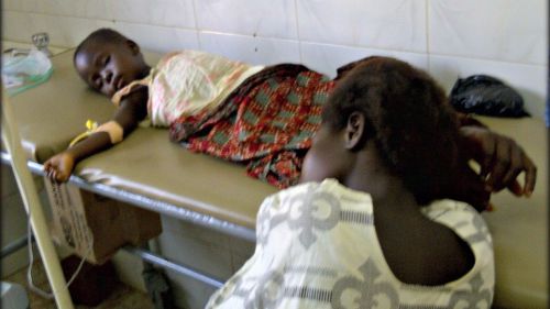 Medio millón de niños mueren al año por no tener mosquiteras