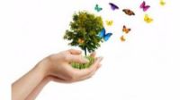 La SEO/Birdlife pone en marcha una Red de Jardines por la Biodiversidad