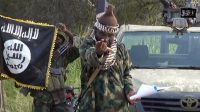 250.000 niños sufren desnutrición por Boko Haram