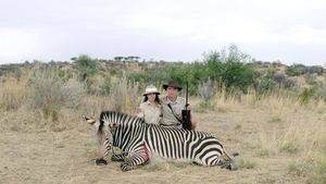 Safari
