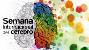 Los neurólogos examinarán nuestra salud cerebral gratis por la 'Semana del Cerebro'