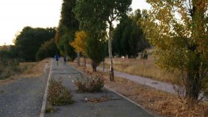 Izquierda Unida denuncia el abandono del carril a Naturávila