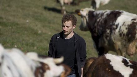 Castilla y León anticipa 790 millones de euros en ayudas de la PAC a 69.000 agricultores y ganaderos