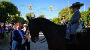 Una veintena de jinetes participan en el Concurso de Amazonas y Caballistas de la Feria de Abril en Sevilla