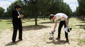 El Parque Peñalara de Pozuelo estrena una nueva zona canina