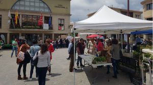 Soto del Real, un municipio solidario y comprometido
