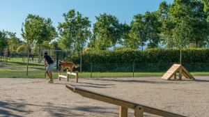 El Ayuntamiento de Majadahonda creará nuevas zonas caninas en los parques